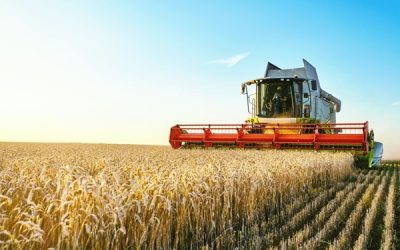 Actualidad Fiscal | Agricultores y ganaderos: exención del IBI 2023 en respuesta a la sequía