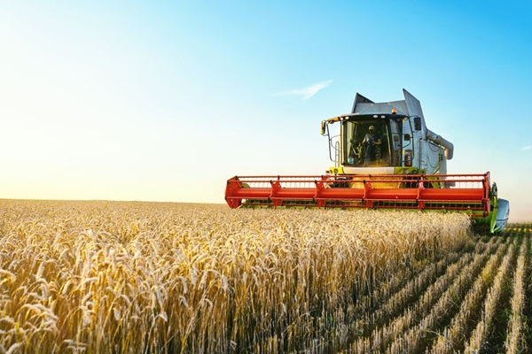 Actualidad Fiscal | Agricultores y ganaderos: exención del IBI 2023 en respuesta a la sequía